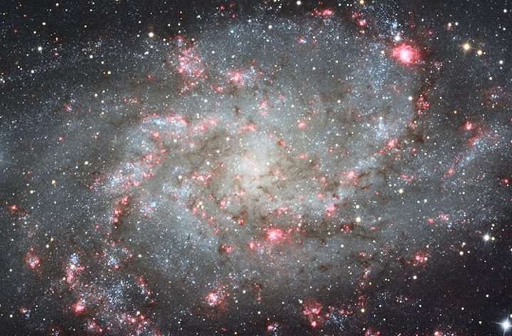 M33