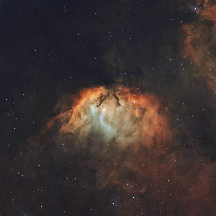 Tulip Nebula